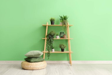 Yeşil duvarın yanında farklı ev bitkileri ve fener bulunan raf ünitesi.