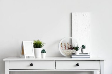 Farklı bitkiler, boş fotoğraf çerçevesi ve beyaz duvarın yanındaki masada kitaplar.