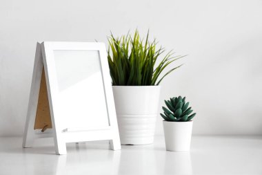 Farklı ev bitkisi ve boş fotoğraf çerçevesi beyaz duvarın yanında, yakın plan.