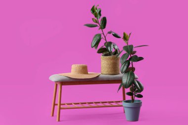 Ev bitkileriyle gri bank ve pembe arka planda hasır şapka