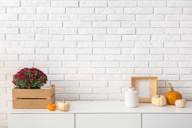 Beyaz tuğla duvarın yanındaki dolapta güzel kasımpatı çiçekleri ve balkabakları olan bir kutu.