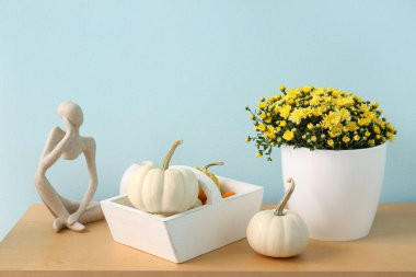 Mavi duvarın yanındaki ahşap masada güzel kasımpatı çiçekleri ve kabakları olan çömlek.