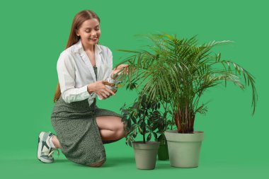 Mezhepçilere ve yeşil arka planda bitkilere sahip kadın bahçıvan.