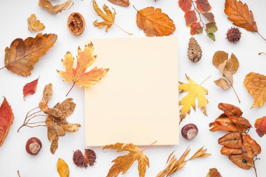 Beyaz arkaplanda boş kartıyla güzel sonbahar kompozisyonu