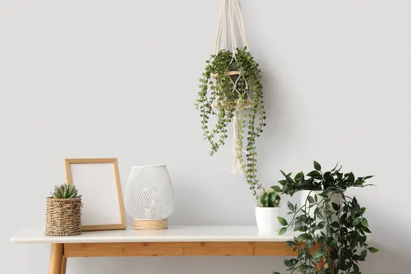 Console table with different houseplants, lantern and empty photo frame near white wall