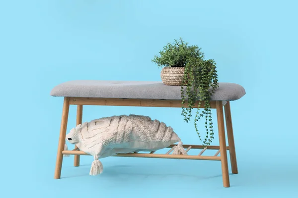 Grey bench with houseplant and cushion on blue background