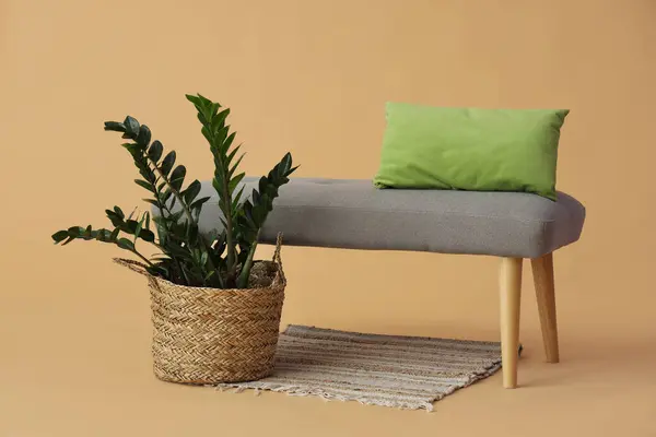 Grey bench with cushion and houseplant on beige background
