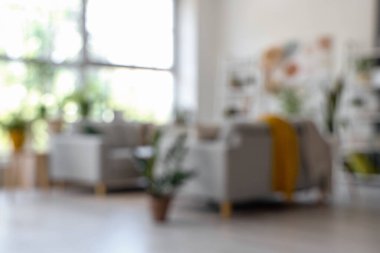 Gri koltukları ve çiçekleri olan bulanık oturma odası manzarası