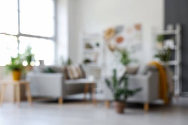 Gri koltukları ve çiçekleri olan bulanık oturma odası manzarası