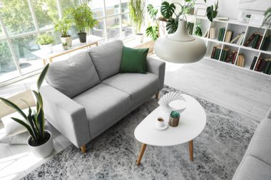 Gri kanepesi, sehpası ve çiçekleri olan modern oturma odasının içinde.