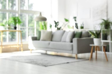 Gri kanepeli ve çiçekli modern oturma odasının bulanık görüntüsü