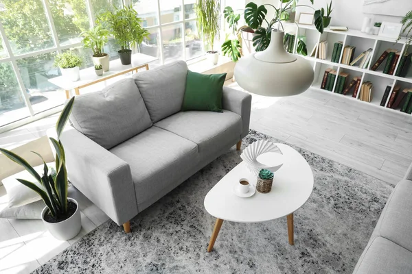 Gri kanepesi, sehpası ve çiçekleri olan modern oturma odasının içinde.