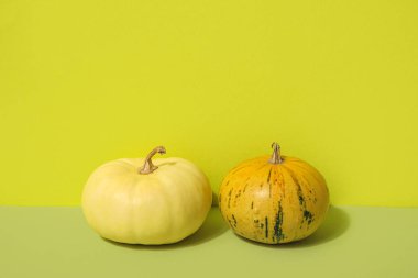 Yeşil arka planda farklı taze balkabakları