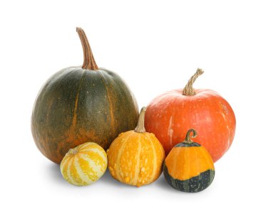 Beyaz arkaplanda farklı taze balkabakları