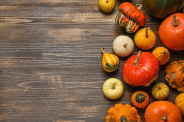 Ahşap arka planda farklı taze balkabakları