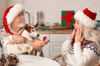 Sevimli köpekli olgun bir adam Noel arifesinde sevgilisine mutfakta evlenme teklif ediyor.