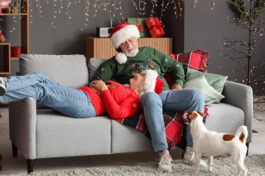 Mutlu olgun çift ve şirin köpek Noel arifesinde evde dinleniyorlar.