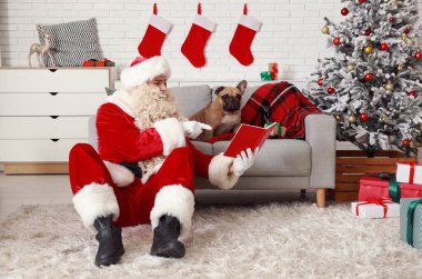 Noel Baba Noel arifesinde evde sevimli Fransız buldoguyla kitap okuyor.