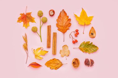 Pembe arka planda güzel sonbahar kompozisyonu