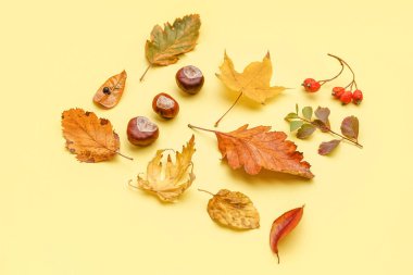 Sarı arkaplanda güzel sonbahar kompozisyonu