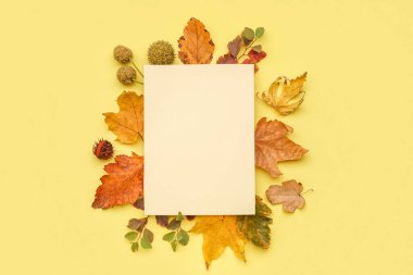 Sarı arka planda boş kartıyla güzel sonbahar kompozisyonu