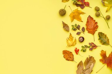 Sarı arkaplanda güzel sonbahar kompozisyonu