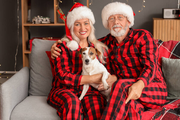 Happy mature couple with Jack Russell terrier at home on Christmas eve