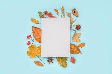 Mavi arkaplanda boş kartıyla güzel sonbahar kompozisyonu