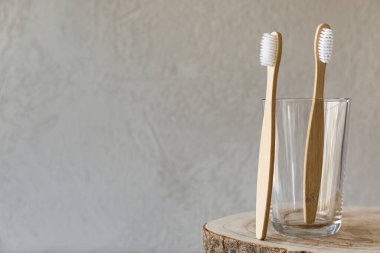 Bambu diş fırçaları ve gri arka planda tutucu