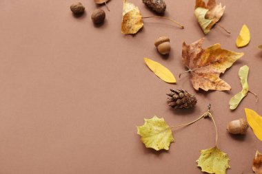 Kahverengi arka planda meşe palamudu bulunan sonbahar yaprakları