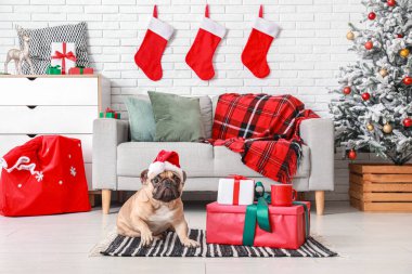 Noel Baba şapkalı sevimli Fransız bulldog evde Noel hediyeleri ile