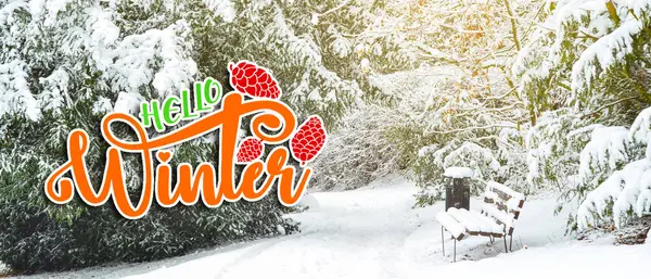 Banner with text HELLO WINTER and snowy park