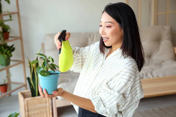 Young Asian woman watering plant at home office