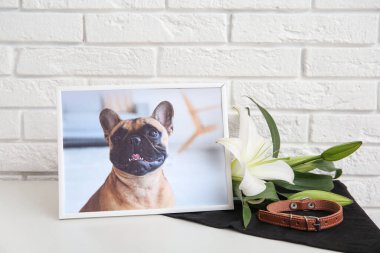 Frame with picture of dog, collar and lily flowers on table near light brick wall. Pet funeral clipart