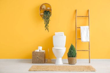 Saksı bitkisi ve tuvalet kağıdı ruloları olan bir tuvalet.