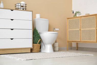 Çağdaş tuvaletin içinde saksı bitkisi var.