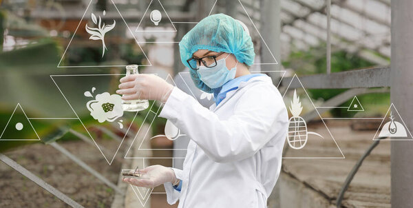 Женщина-инженер сельского хозяйства, работающая в теплице
