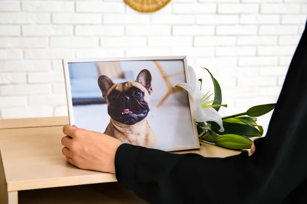 Woman holding frame with picture of dog in room, closeup. Pet funeral