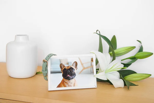 Frame with picture of dog, collar, mortuary urn and lily flowers on wooden table near light wall. Pet funeral