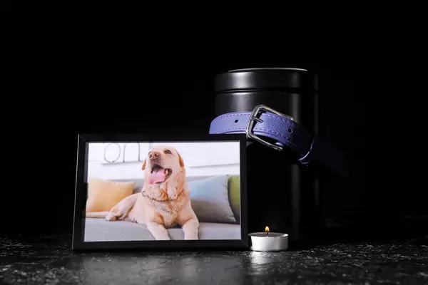Frame with picture of dog, collar, mortuary urn and burning candle on dark background. Pet funeral