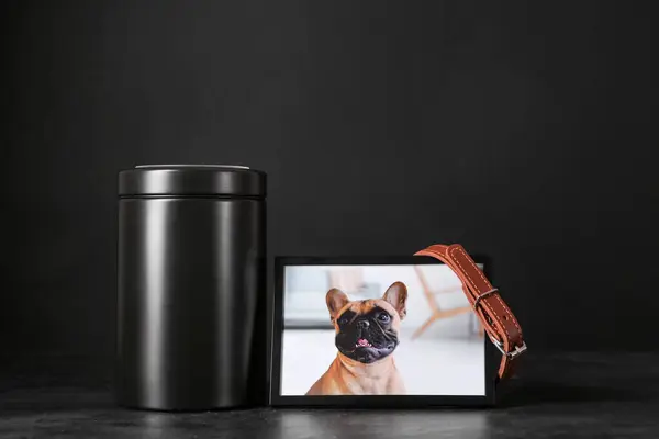 Frame with picture of dog, collar and mortuary urn on dark background. Pet funeral