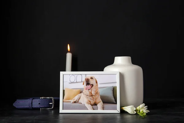 Frame with picture of dog, collar, burning candle and mortuary urn on dark background. Pet funeral
