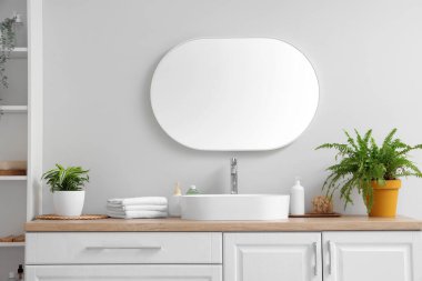 Şık bir ayna ve banyoda beyaz duvarın yakınındaki bitkilerle batmak.