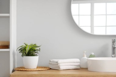 Tuvaletteki beyaz duvarın yanındaki masada havluları olan güzel bir ev bitkisi.