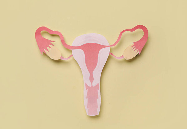 Paper uterus on beige background