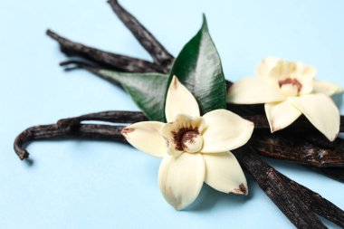 Mavi arka planda Aromatik vanilya çubukları ve çiçekler