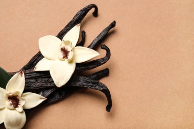 Kahverengi arka planda Aromatik vanilya çubukları ve çiçekler