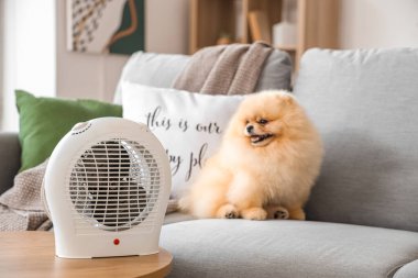 Evdeki elektrikli vantilatör ısıtıcısının yanındaki koltukta tatlı Pomeranya salyası.