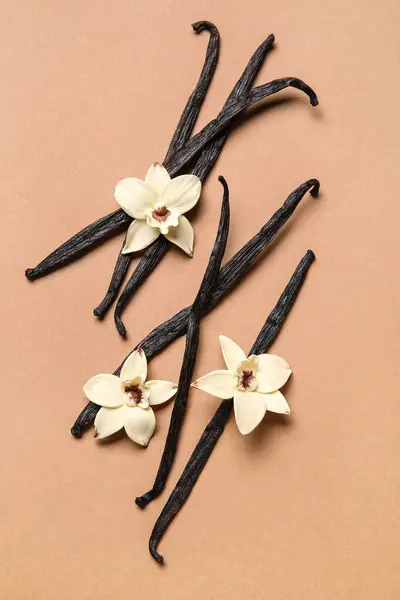 Aromatyczne Patyki Waniliowe Kwiaty Brązowym Tle — Zdjęcie stockowe