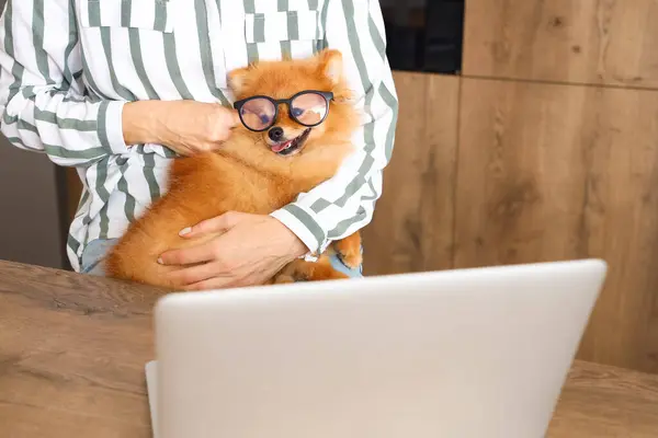 Mature woman and funny Pomeranian dog in eyeglasses at home, closeup